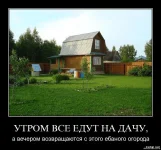 1644831636388.webp