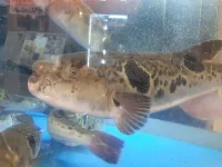 20190709_171945.webp