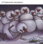 FB_IMG_1645195093039.jpg