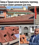 FB_IMG_1645708848987.webp