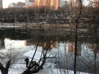 IMG-20220228-WA0018.webp