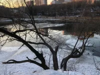 IMG-20220228-WA0017.webp