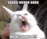 16508795.webp