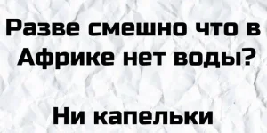 16511075.webp