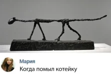 16479065.webp