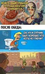 16511457.webp