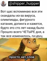 16511285.webp