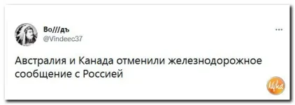 14 (2).webp