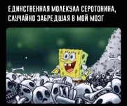 16513890.webp