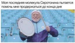 16513884.webp