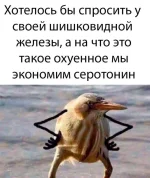 16513885.webp