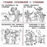 21.webp