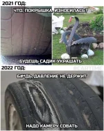 16522270.webp