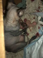 IMG-20220308-WA0000.webp