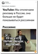 15 (8).webp