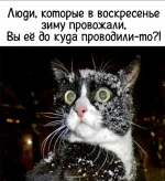 IMG-20220310-WA0000.webp