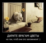 4887044_original.webp
