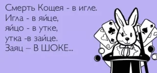1646927132677.webp