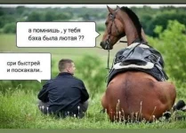 16542678.webp