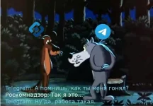 16544883.webp