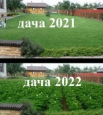 16558833.webp