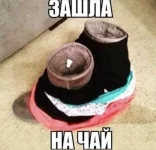 25bf72c2_resizedScaled_740to713.webp