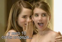 16560225.webp