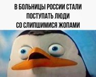 16560202.webp