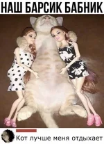 4915105_original.webp