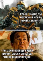 16567339.webp