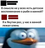 16567618.webp