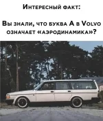 FB_IMG_1647775645695.webp