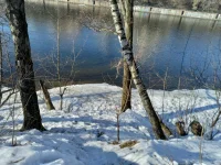 20220320_155312.webp