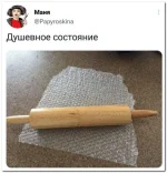 16575010.webp