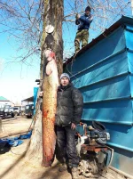 20210331_101208.webp 20210331_101208.webp