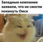 16579557.webp
