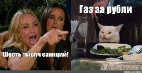 16583322.webp