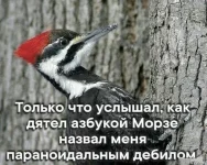 16592679.webp