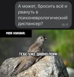 16592684.webp
