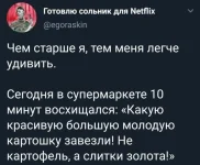 16592951.webp