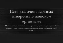 1648271804_16536933.webp