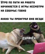 16598493.webp
