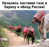 1648500226142.webp