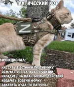 1648735659728.webp