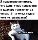 16617939.webp