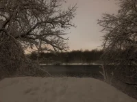 IMG-20220403-WA0000.webp