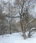 IMG-20220403-WA0008.webp