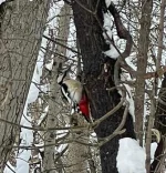 IMG-20220403-WA0006.webp