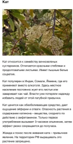 16622968.webp