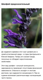 16622969.webp